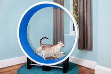 Load image into Gallery viewer, Ferris Cat Exercise Wheel International